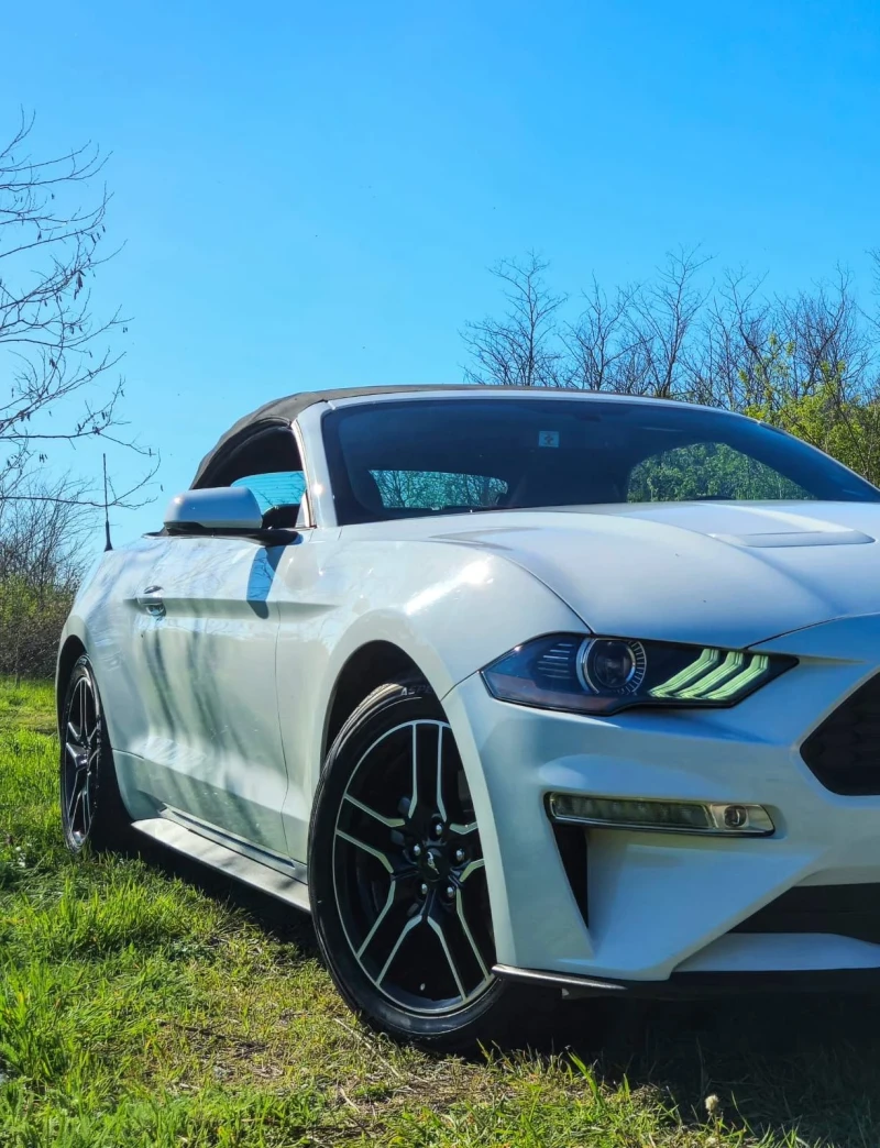 Ford Mustang 55th Anniversary 