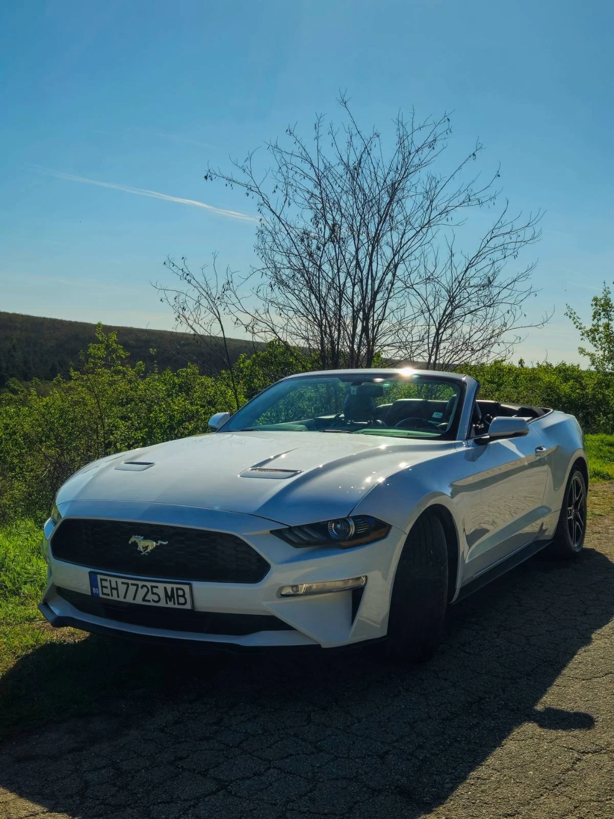 Ford Mustang 55th Anniversary , снимка 1