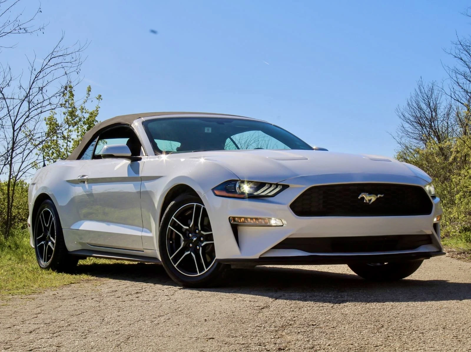 Ford Mustang 55th Anniversary  - изображение 2