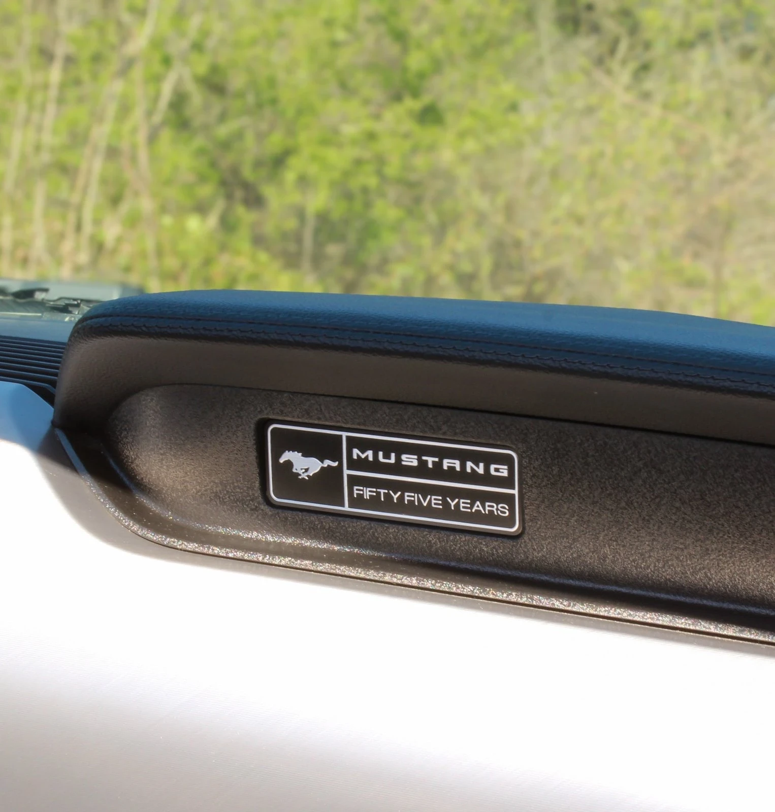 Ford Mustang 55th Anniversary  | Mobile.bg   15