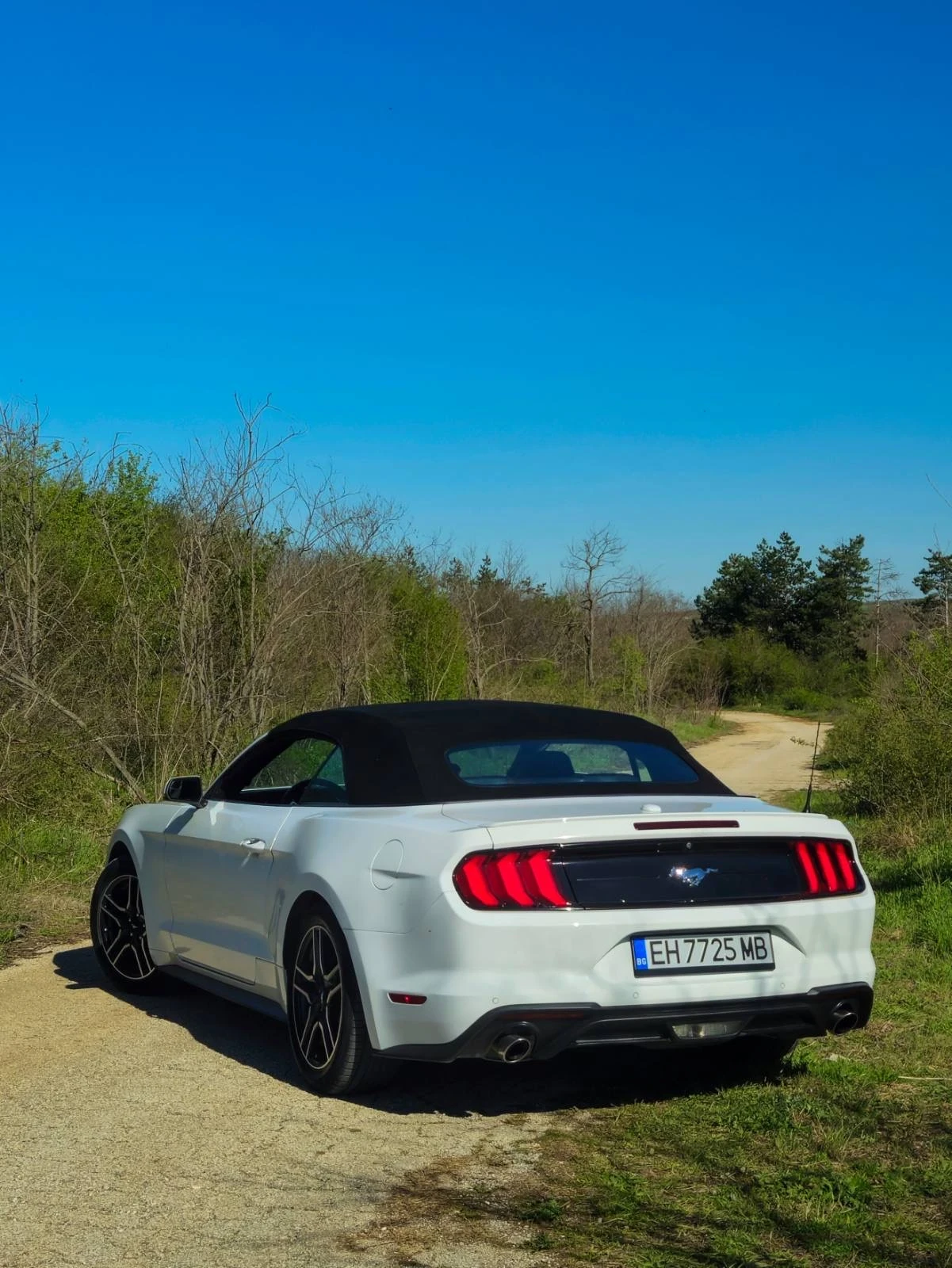 Ford Mustang 55th Anniversary  - изображение 4