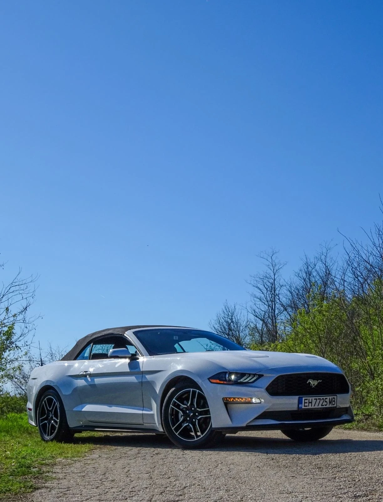Ford Mustang 55th Anniversary  | Mobile.bg   13