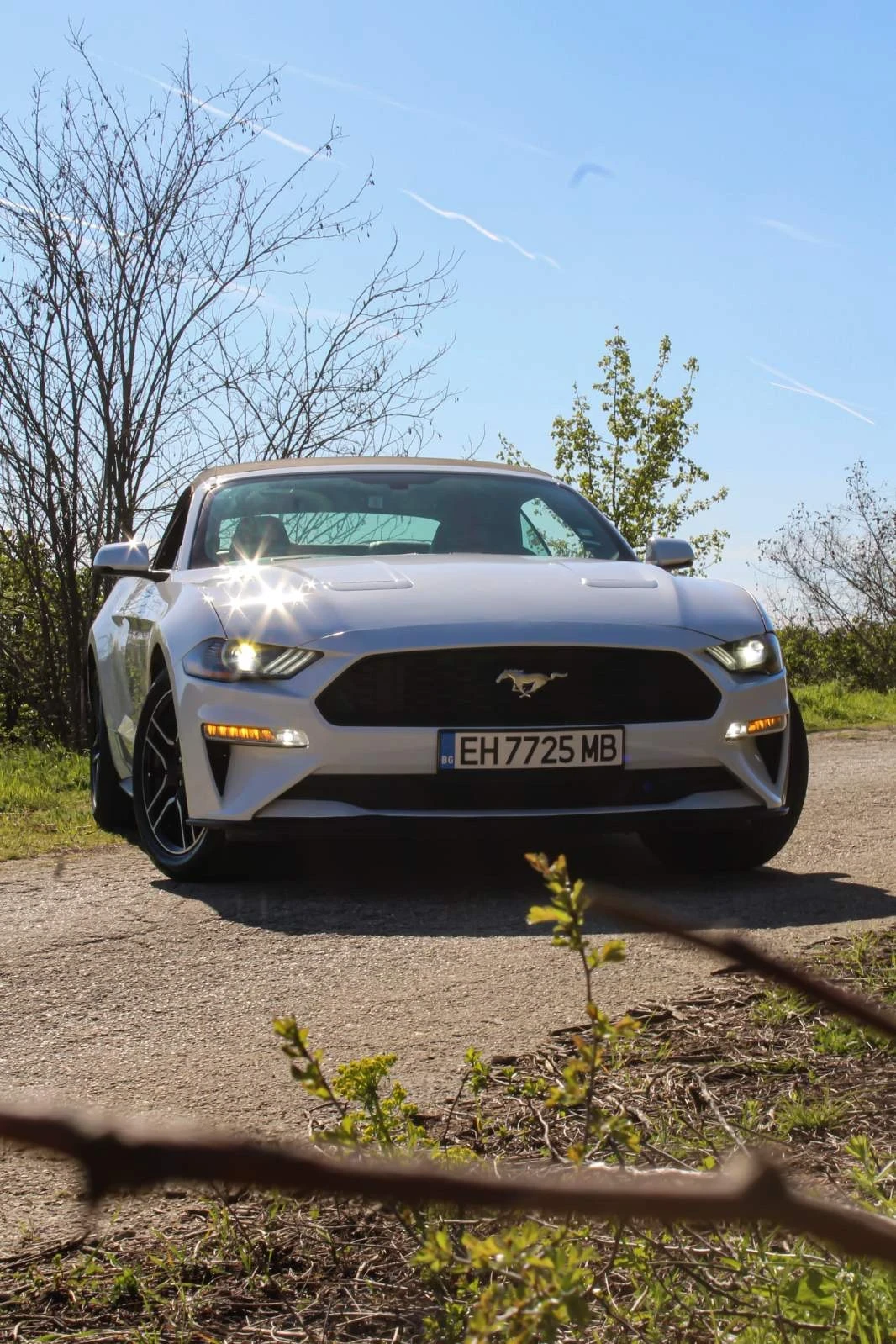 Ford Mustang 55th Anniversary  | Mobile.bg   16