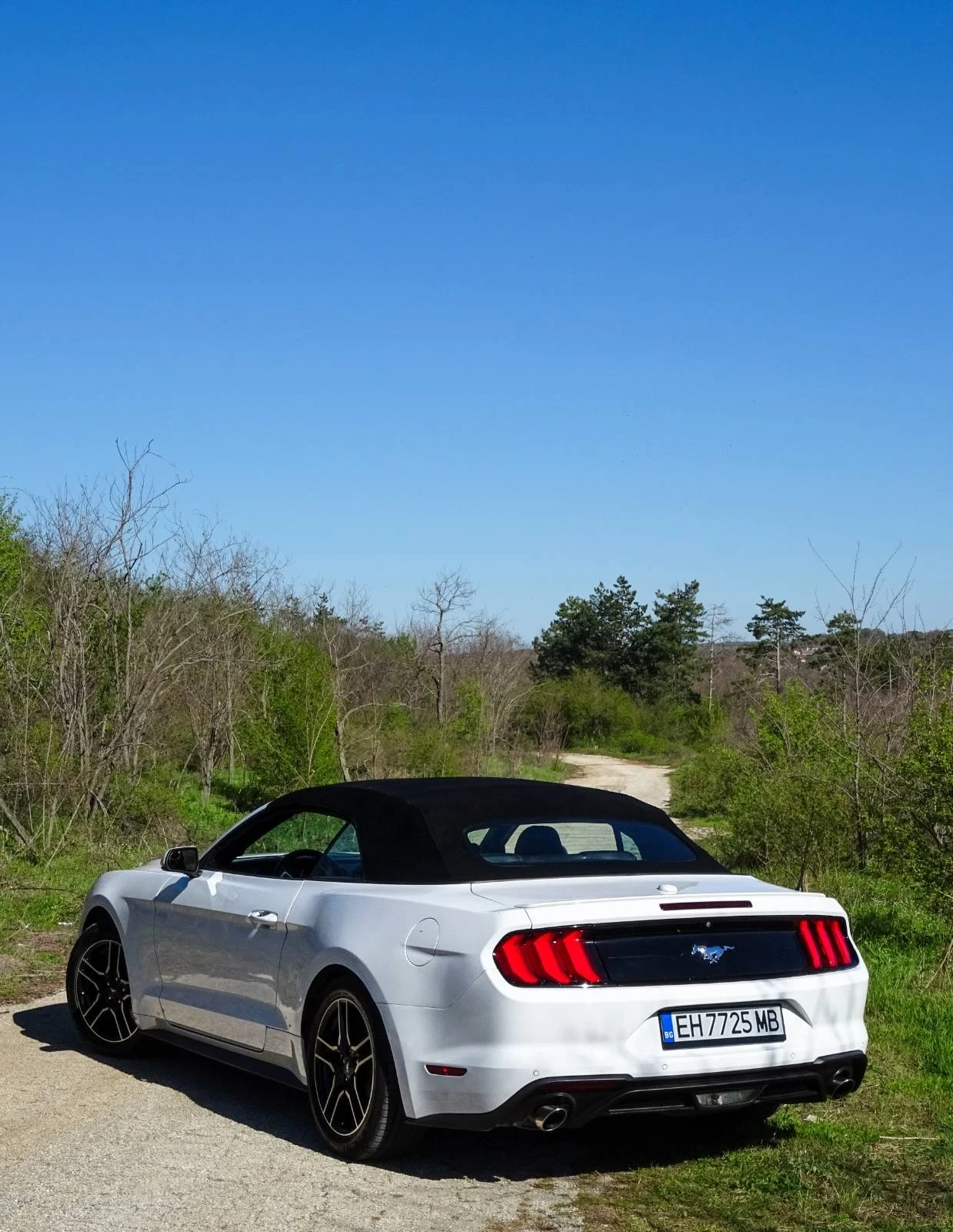 Ford Mustang 55th Anniversary  - изображение 8