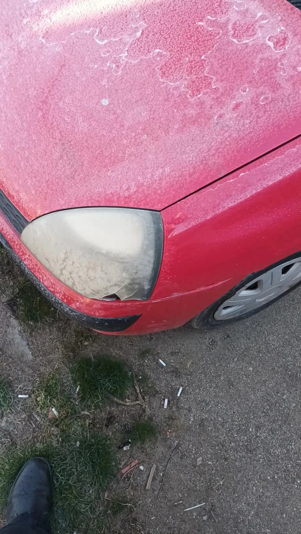 Renault Symbol Thaliq, снимка 8 - Автомобили и джипове - 53637272