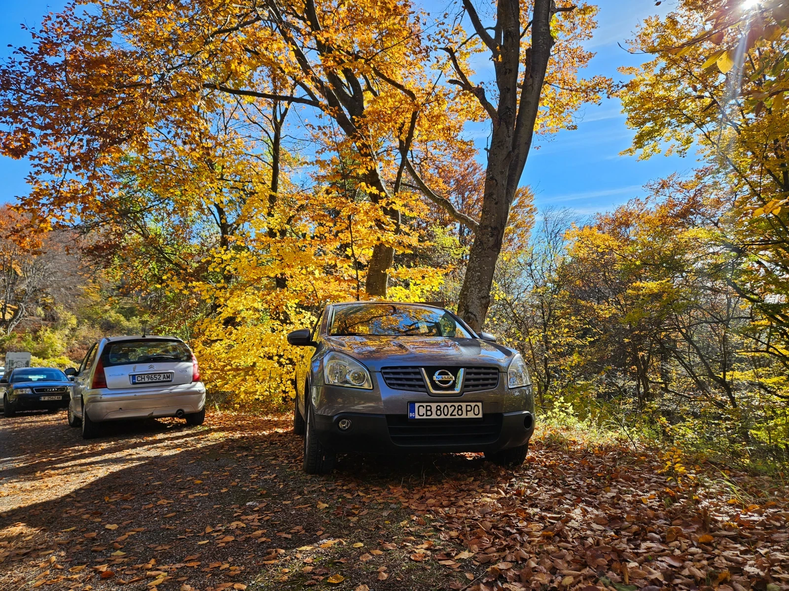 Nissan Qashqai | Mobile.bg   6