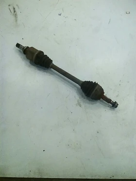 ����� �� �������� �� ������ ���� �������� �� ���� ����� 1.5���