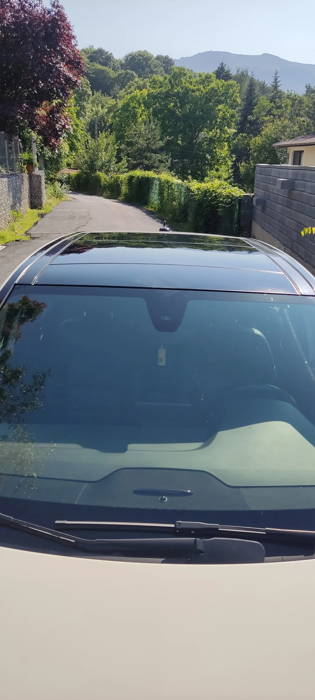 Mercedes-Benz B 250 4 Matic Panorama | Mobile.bg   6