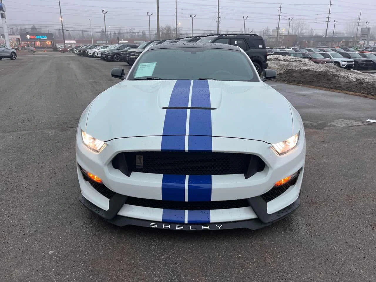 Ford Mustang * Shelby GT350 T* CARFAX * 6-Speed Manual , снимка 17 - Автомобили и джипове - 55458385