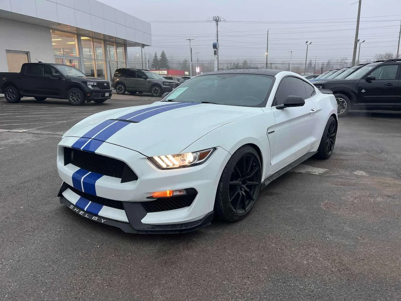 Ford Mustang * Shelby GT350 T* CARFAX * 6-Speed Manual 