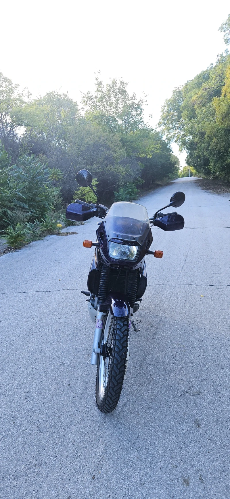 Kawasaki Kle А2, снимка 2 - Мотоциклети и мототехника - 53009086