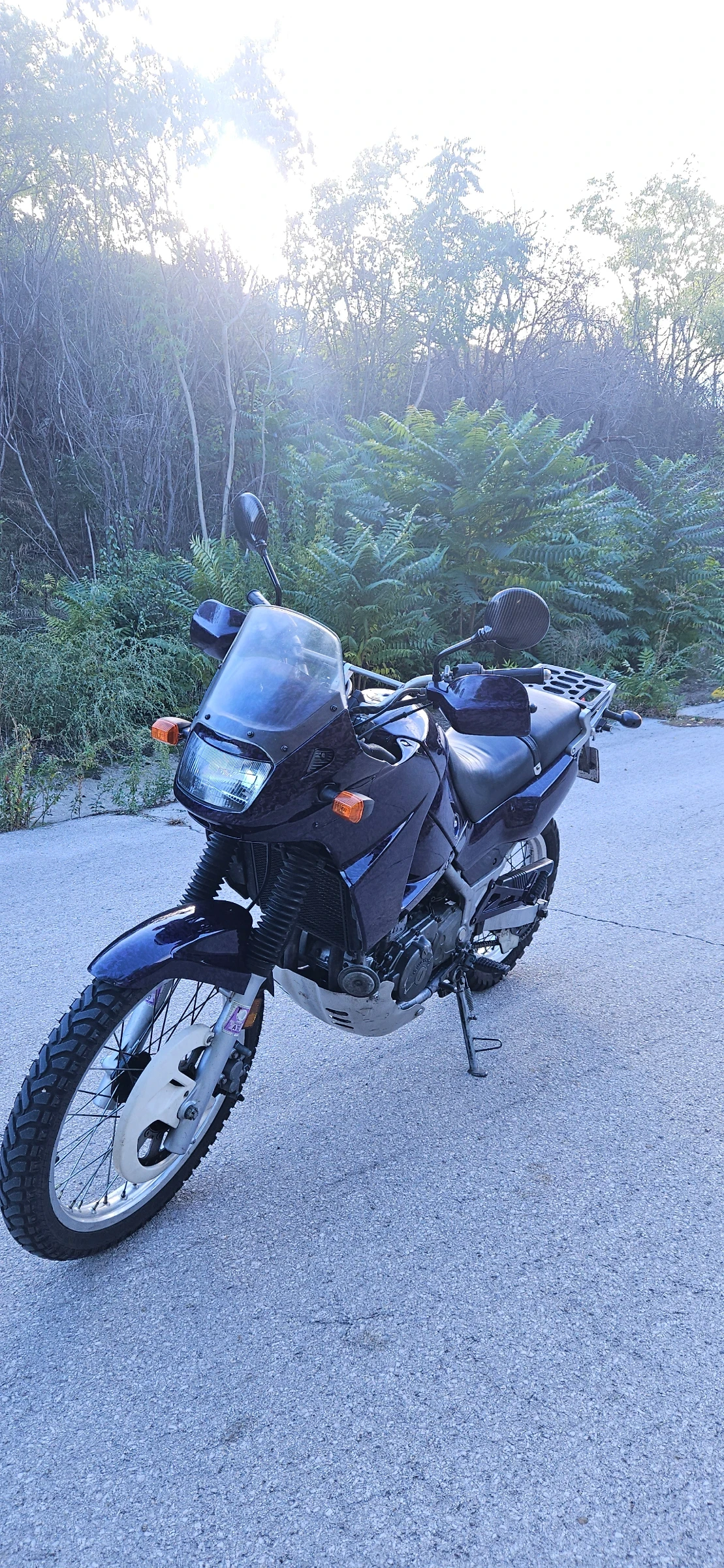 Kawasaki Kle А2 - изображение 3