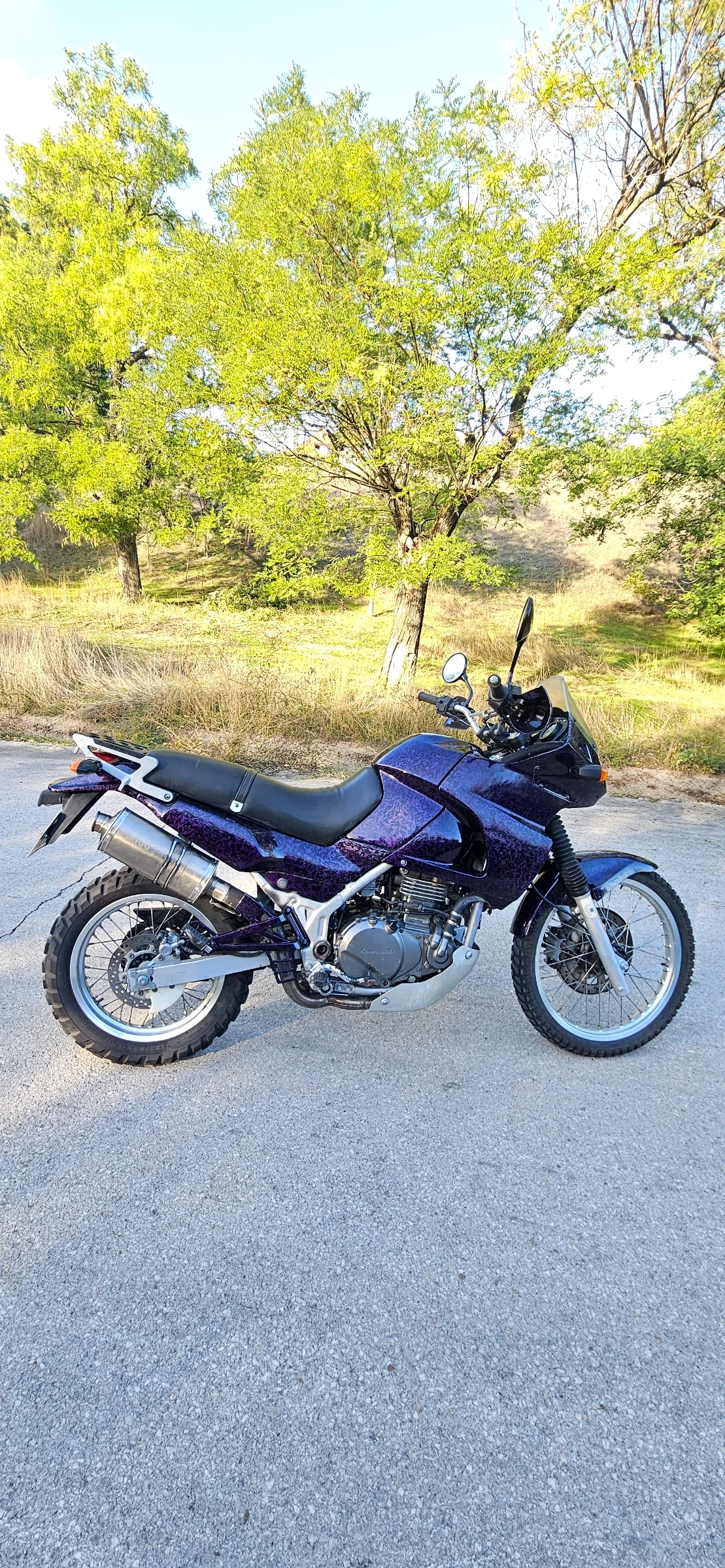 Kawasaki Kle А2 - изображение 8