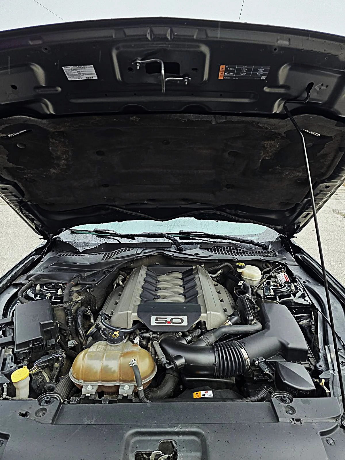 Ford Mustang GT Premium - изображение 5