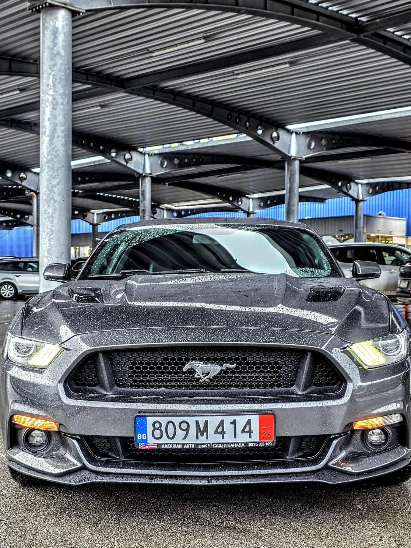 Ford Mustang GT Premium | Mobile.bg � ����������� 1