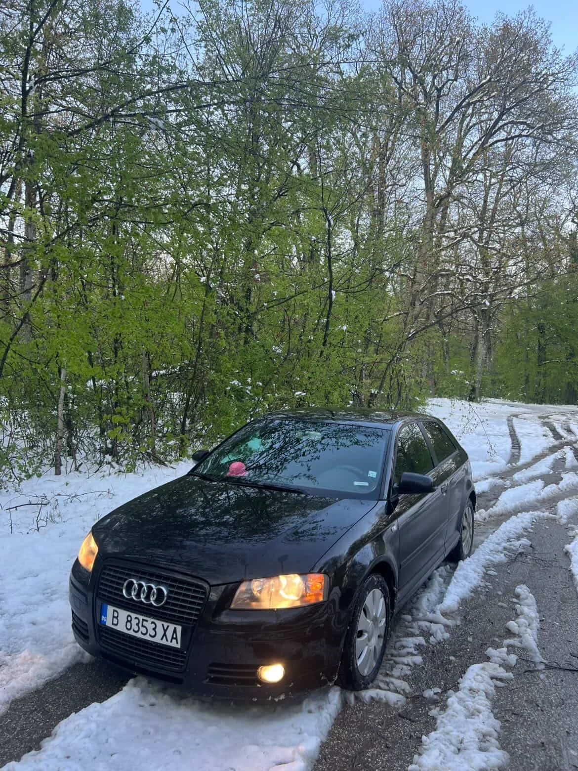 Audi A3 1.9 TDI - изображение 2