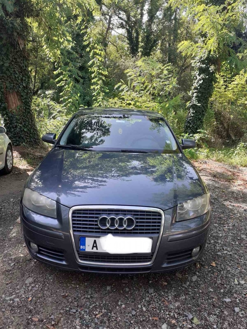 Audi A3 1.6i, снимка 1 - Автомобили и джипове - 47143744