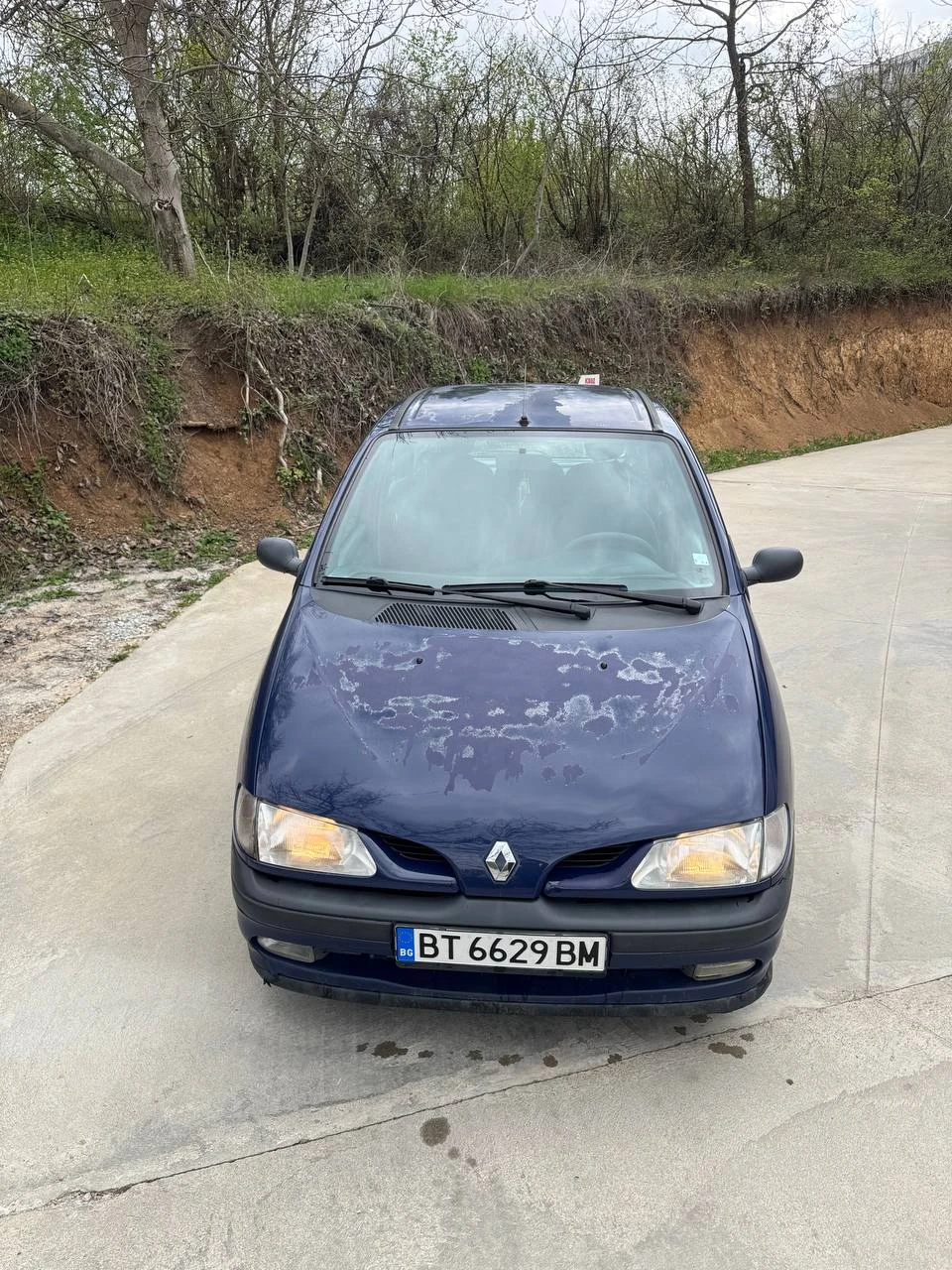 Renault Megane, снимка 9 - Автомобили и джипове - 54158753