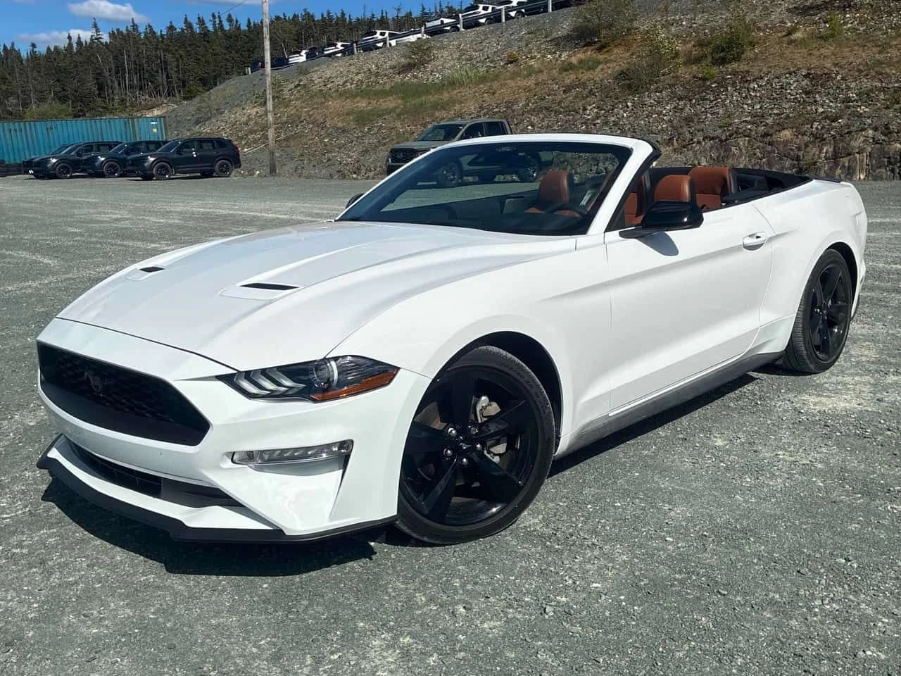 Ford Mustang * EcoBoost * CARFAX * ЦЕНА ДО БГ, снимка 6 - Автомобили и джипове - 55040477