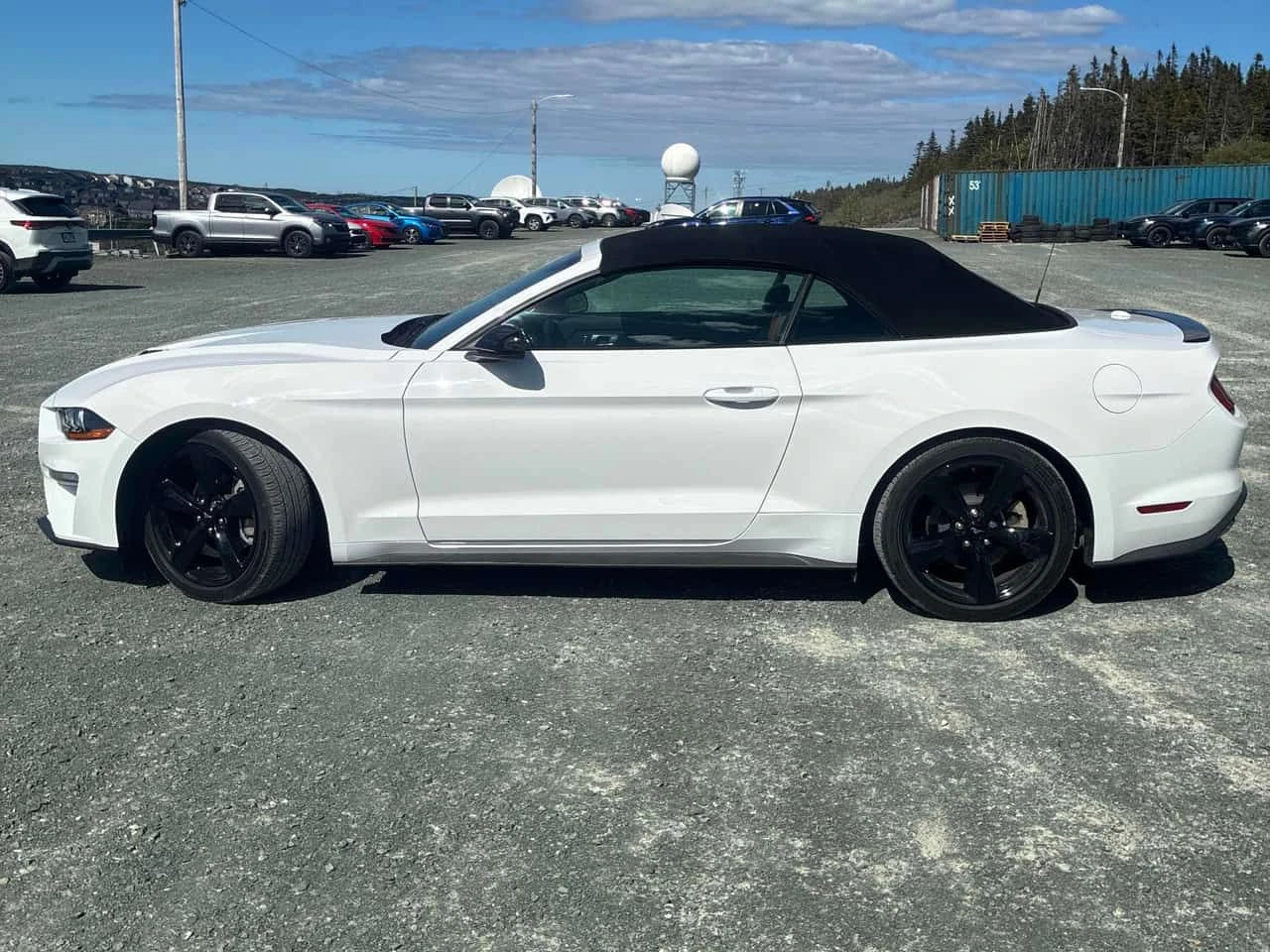 Ford Mustang * EcoBoost * CARFAX * ���� �� �� | Mobile.bg � ����������� 2