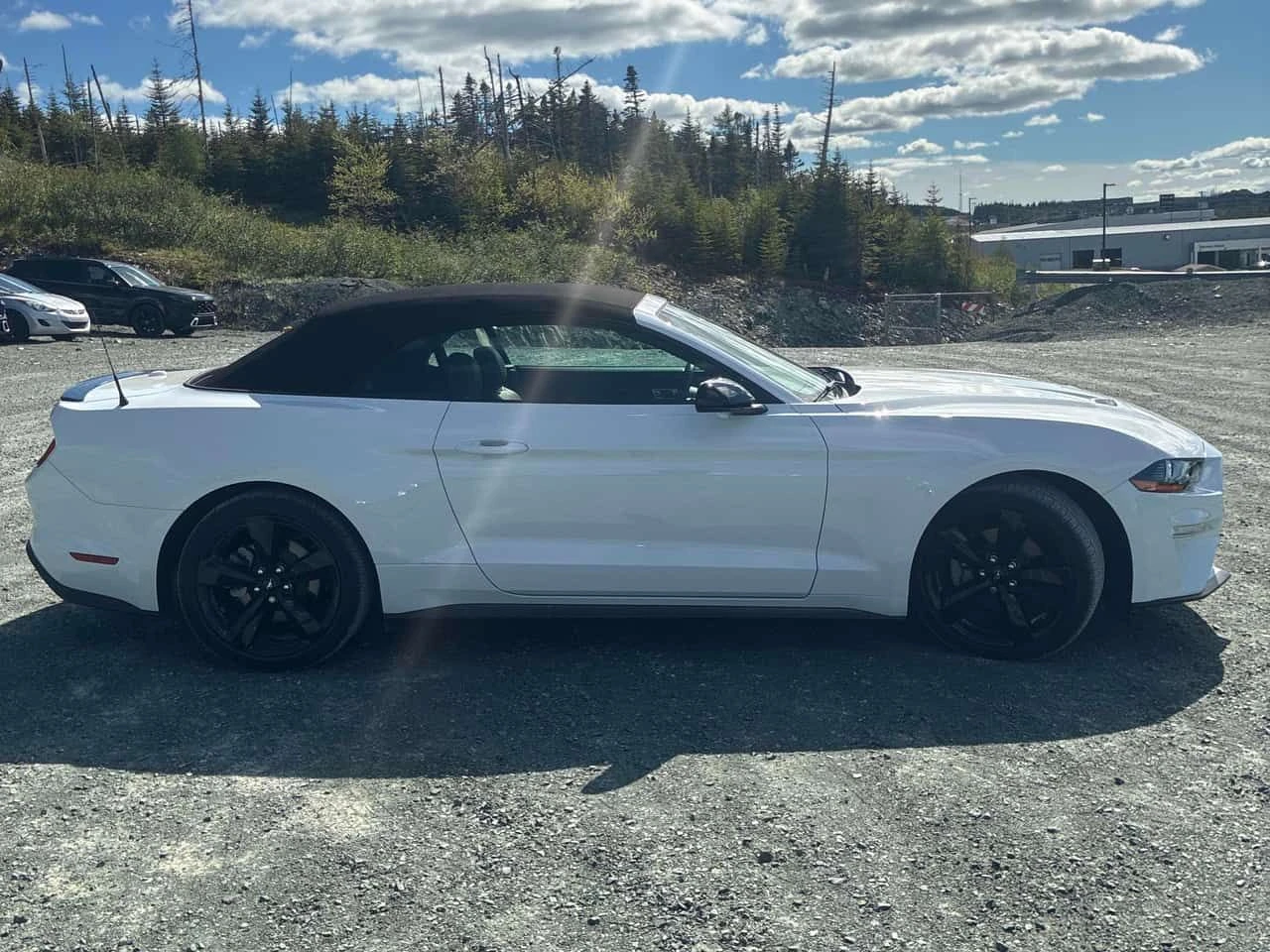Ford Mustang * EcoBoost * CARFAX * ���� �� �� | Mobile.bg � ����������� 4