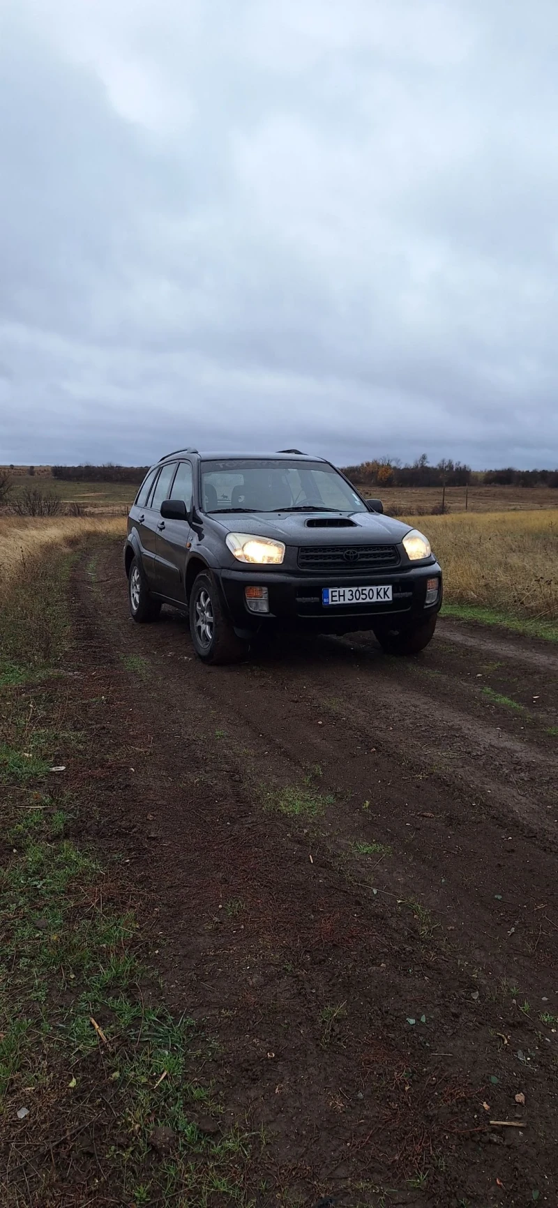 Toyota Rav4 2.0 116 D4D 4x4, снимка 1 - Автомобили и джипове - 48735976