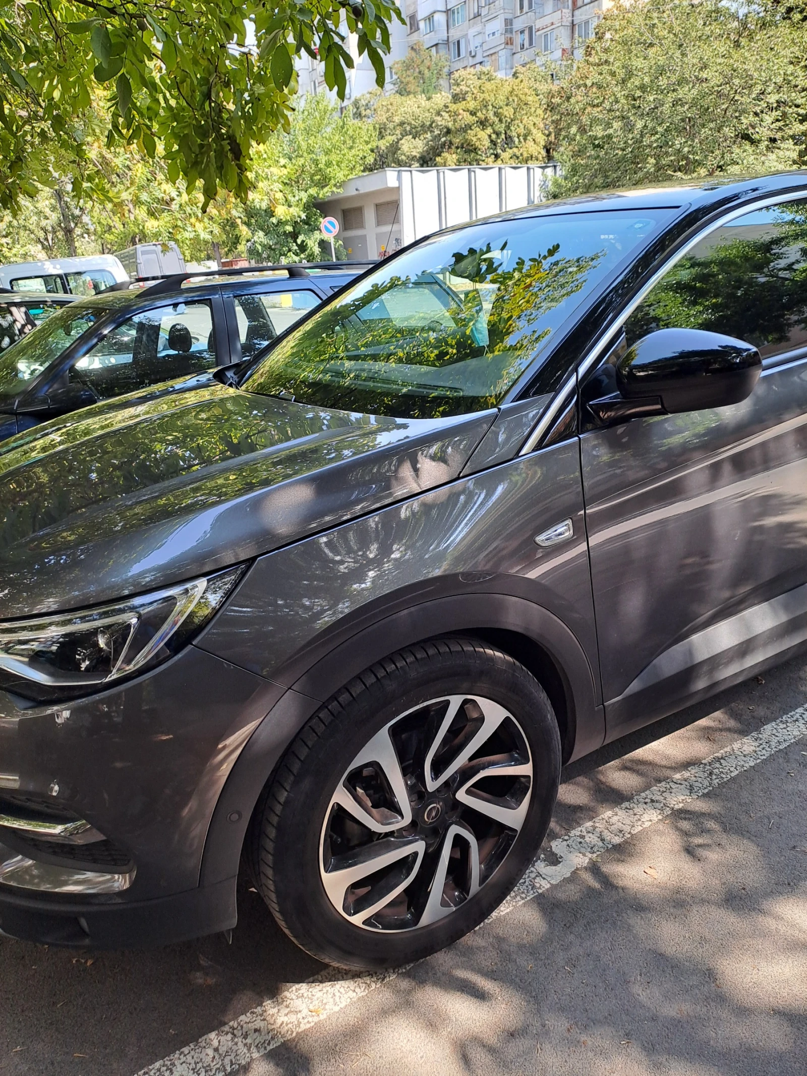 Opel Grandland X  - изображение 3