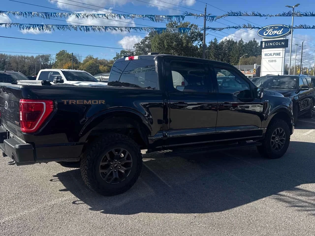 Ford F150 * 4WD SuperCrew Box* CARFAX* ����� �� �����������  | Mobile.bg � ����������� 3