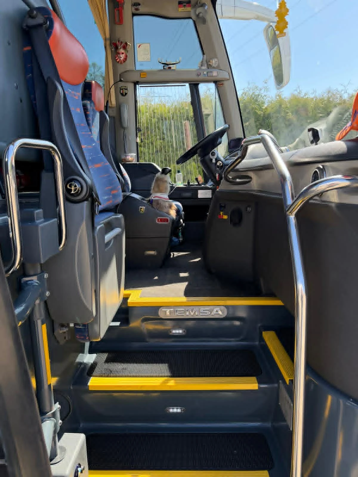 Temsa Safir ������ �� | Mobile.bg � ����������� 11