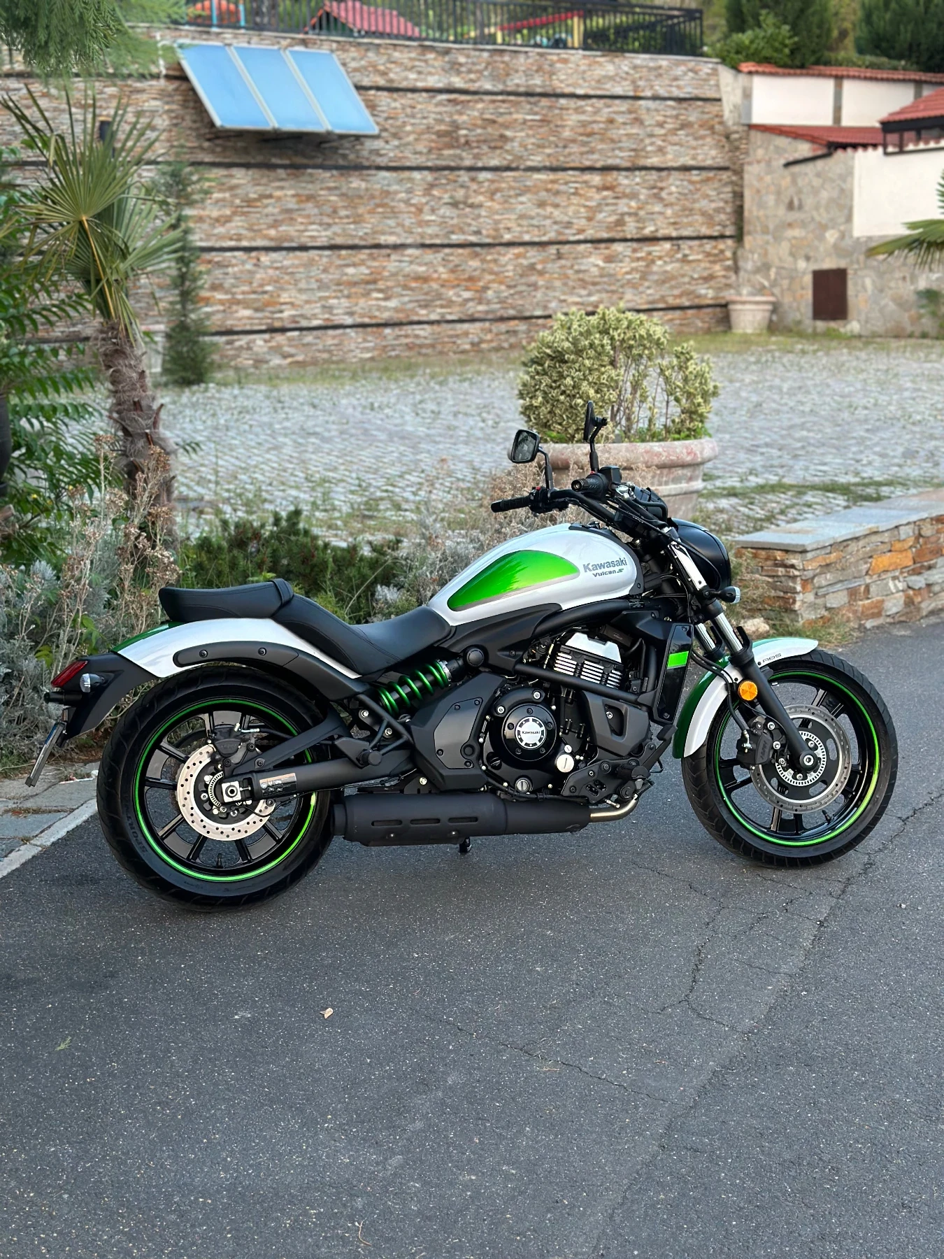 Kawasaki Vulcan S - изображение 6