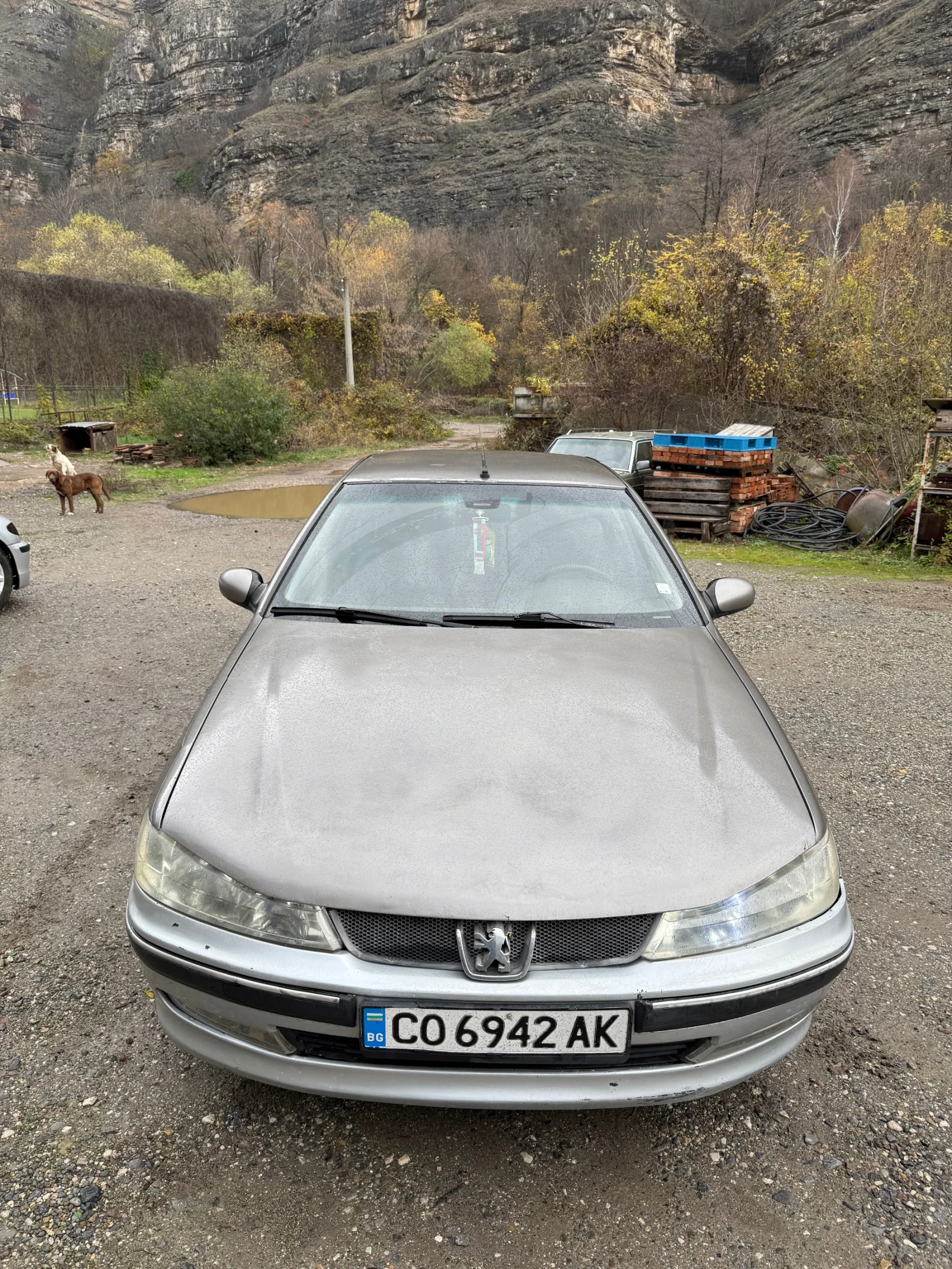Peugeot 406, снимка 1