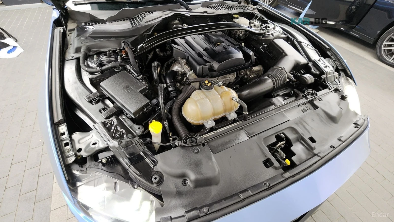 Ford Mustang ECOBOOST / SHELBY PKG / DISTRONIC / DIGITAL /ОБДУХ, снимка 6 - Автомобили и джипове - 54595503