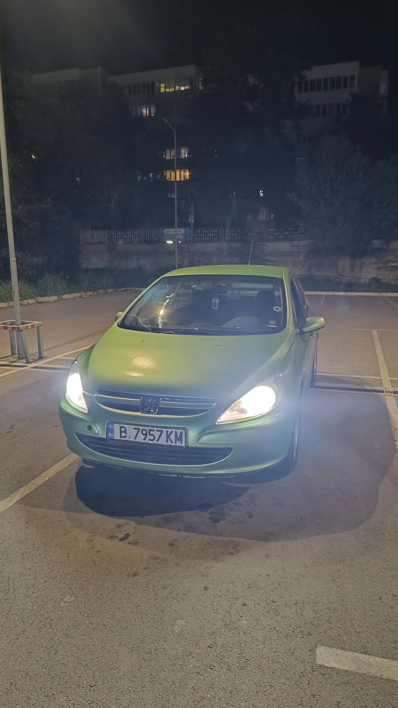 Peugeot 307, снимка 2 - Автомобили и джипове - 55149928