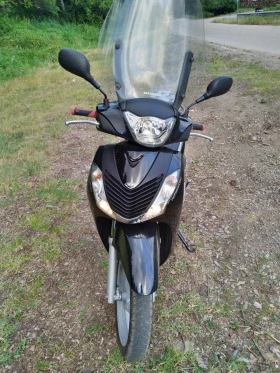     Honda Sh 150i