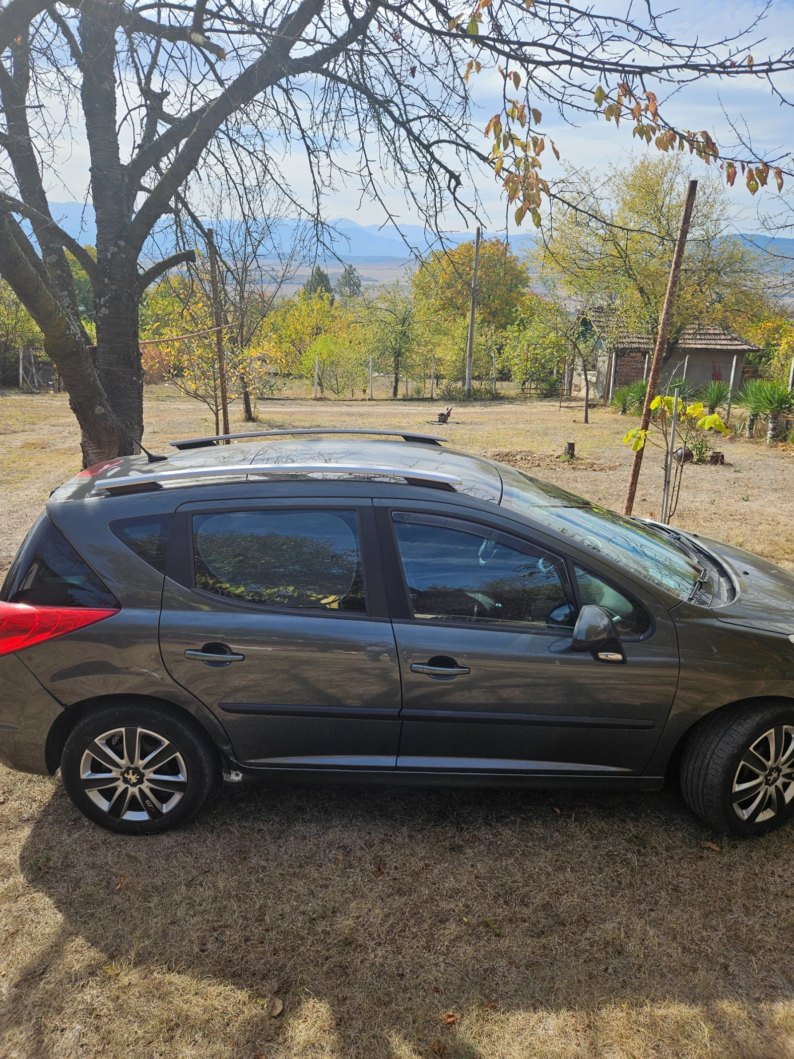 Peugeot 207