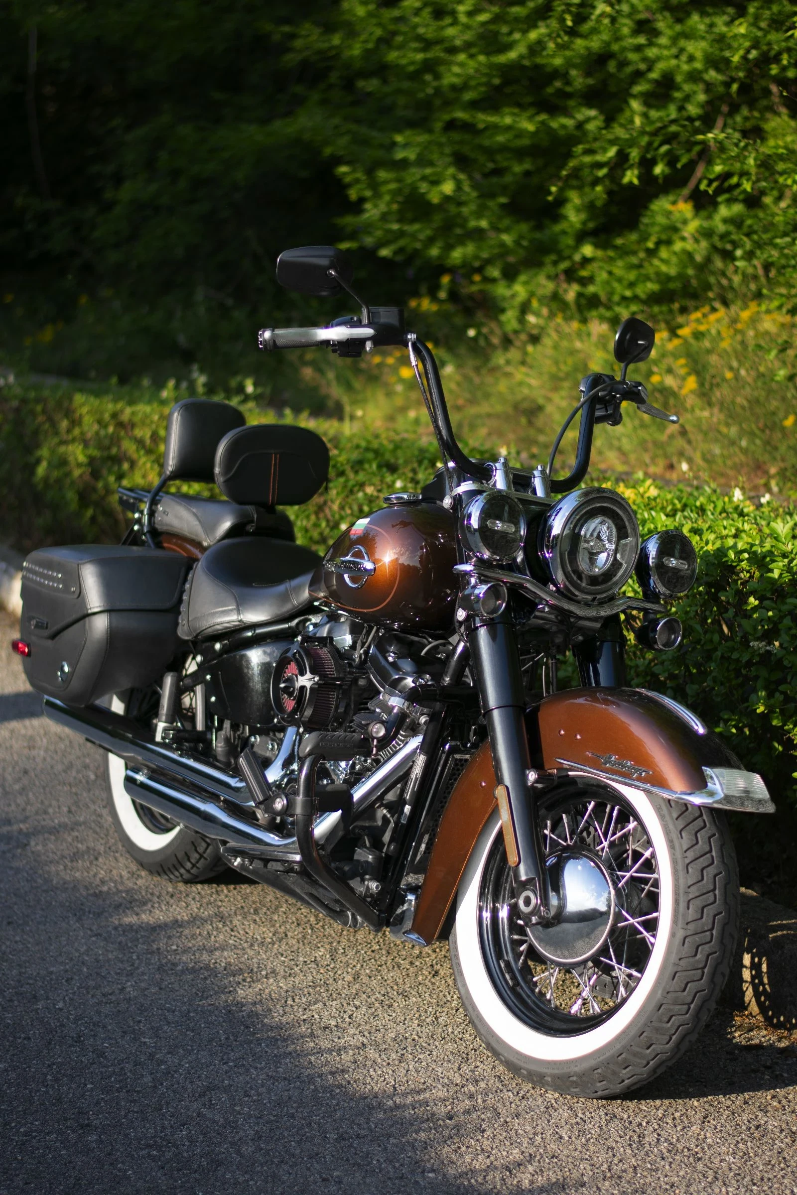 Harley-Davidson Softail Heritage Classic 114 - изображение 5
