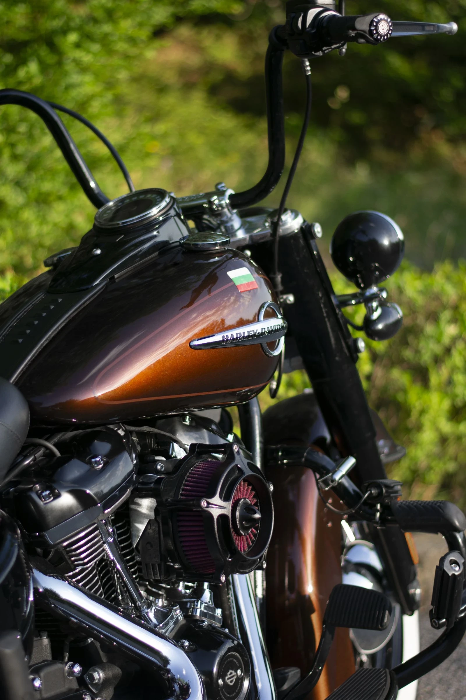Harley-Davidson Softail Heritage Classic 114 - изображение 4