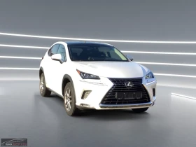 Lexus NX 300h HEV/197HP/EXECUTIVE/AWD/CAM/PANO/NAVI/KLESS/508q, снимка 5