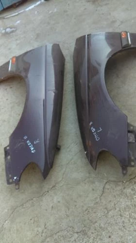 калник, снимка 3