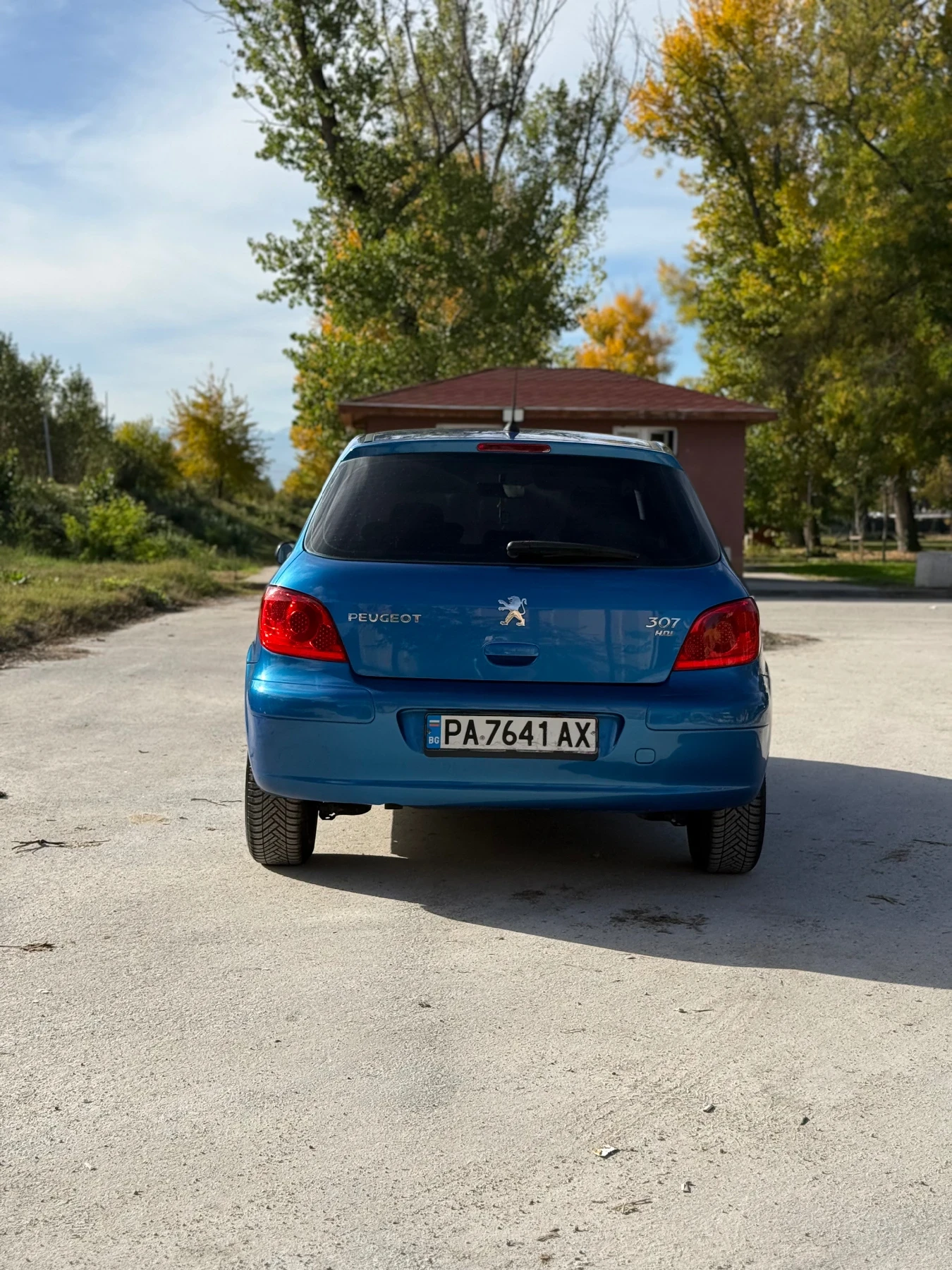 Peugeot 307 1.6hdi    | Mobile.bg   5