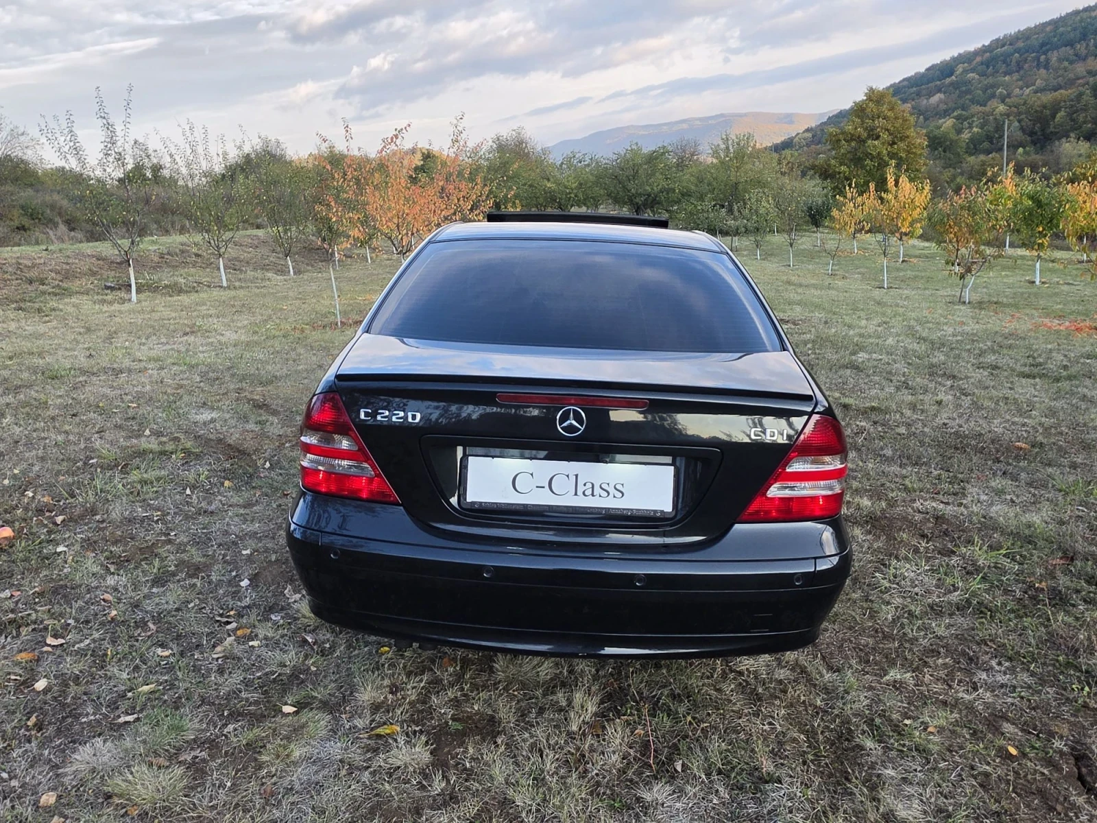 Mercedes-Benz C 220 CDI �������� ��������  | Mobile.bg � ����������� 6