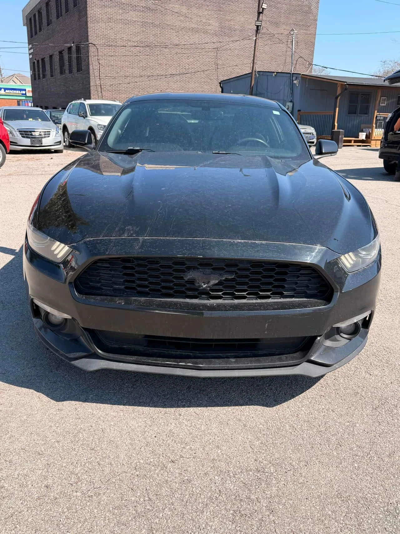 Ford Mustang * V6 * CARFAX * ��� ������������ ������ | Mobile.bg � ����������� 6