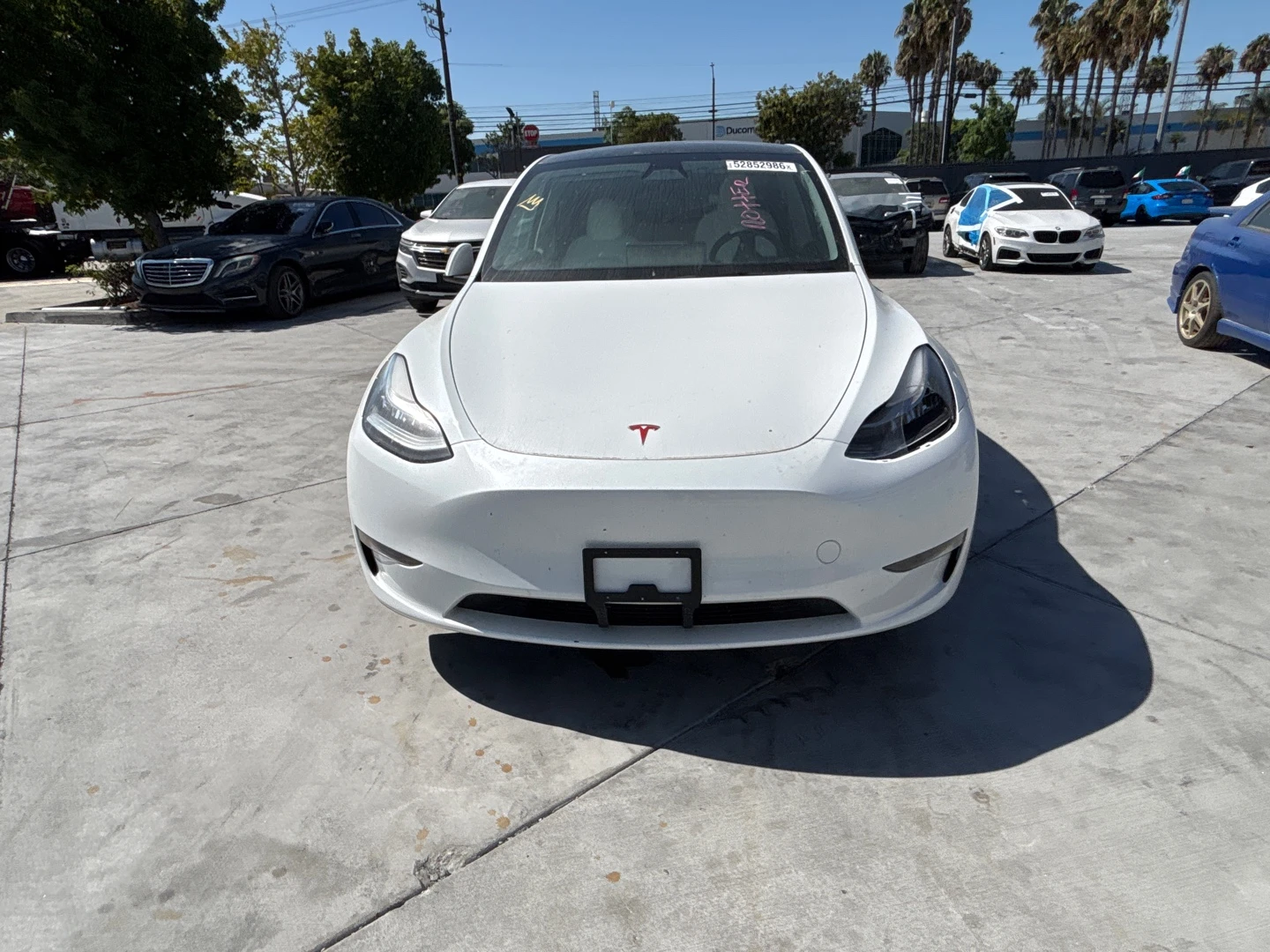 Tesla Model Y Performanc 4x4 LONG RANGE Dual Motor ������ ������ | Mobile.bg � ����������� 2