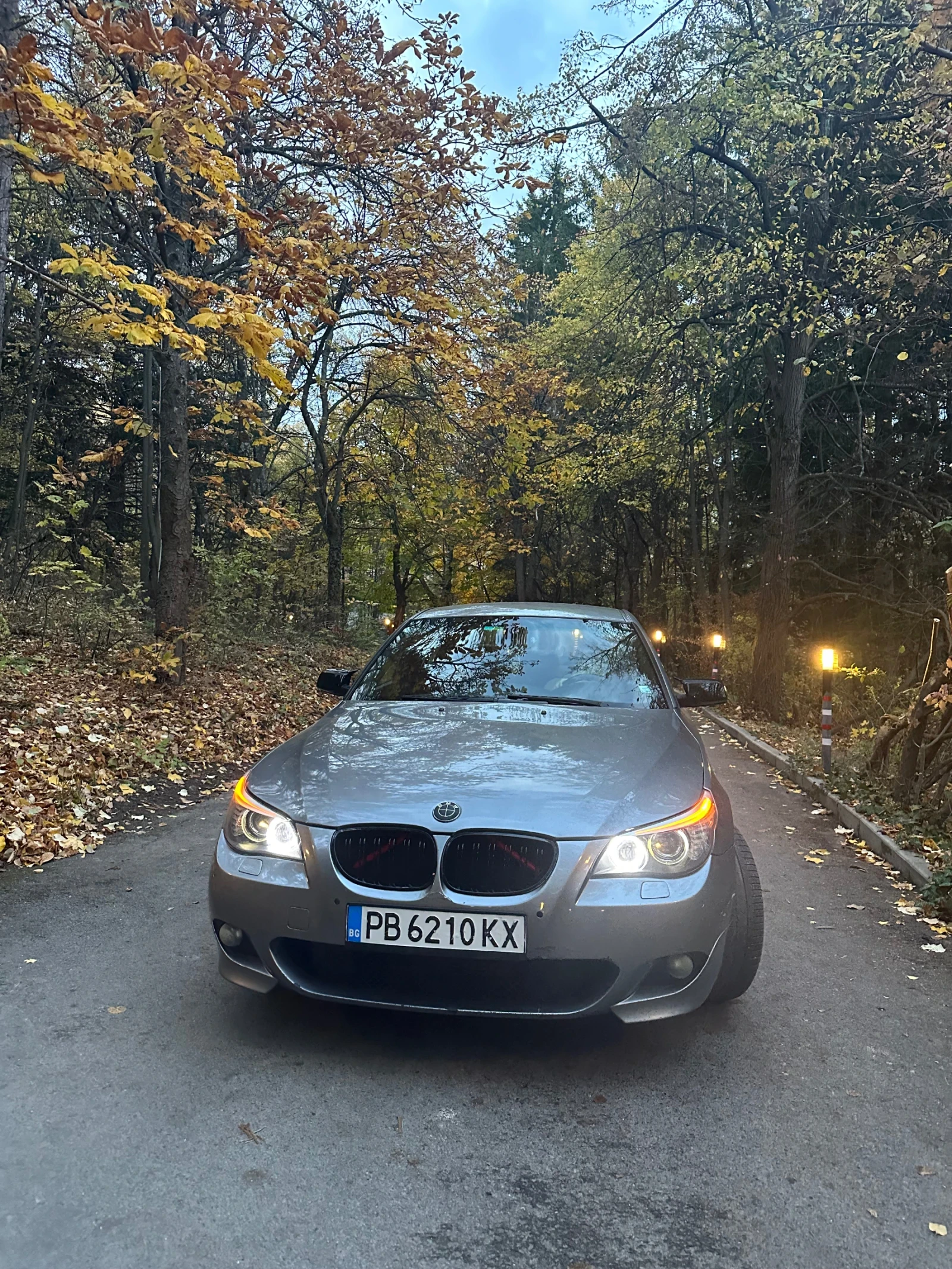 BMW 530 530d 3.0, снимка 1