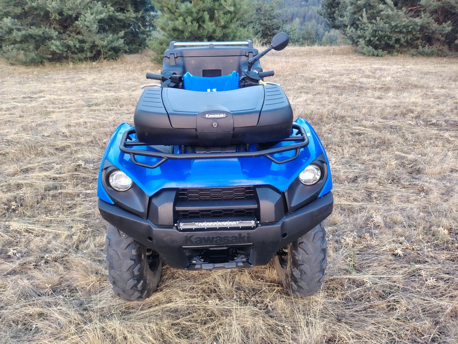 Kawasaki Brute Force