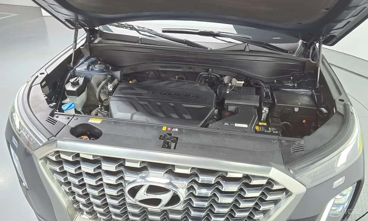 Hyundai Palisade * Diesel 2.2 4WD *  | Mobile.bg � ����������� 17