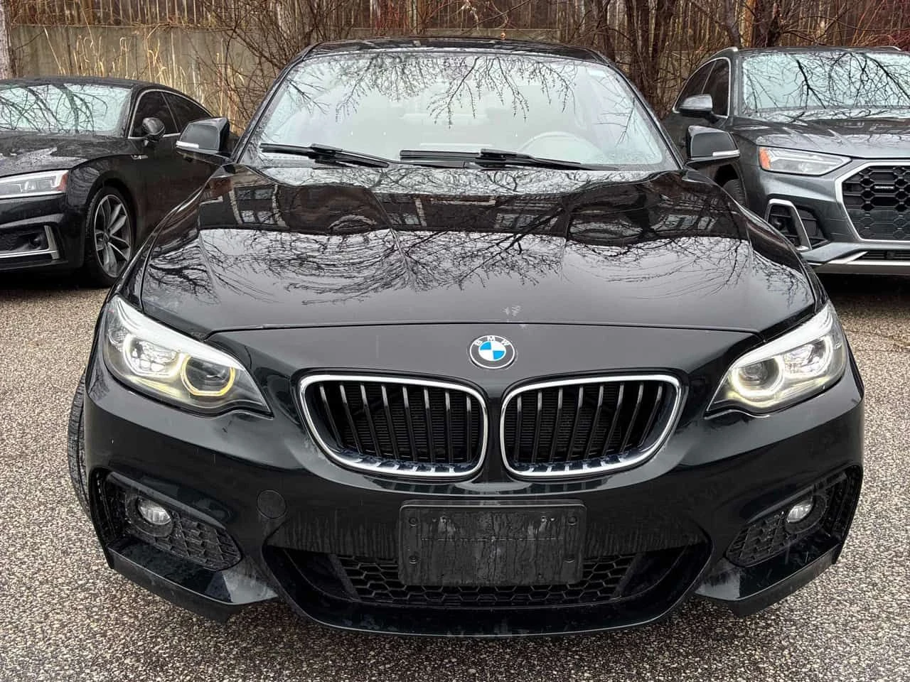 BMW 230 * xDrive * ������ ����������������* ������*  | Mobile.bg � ����������� 6