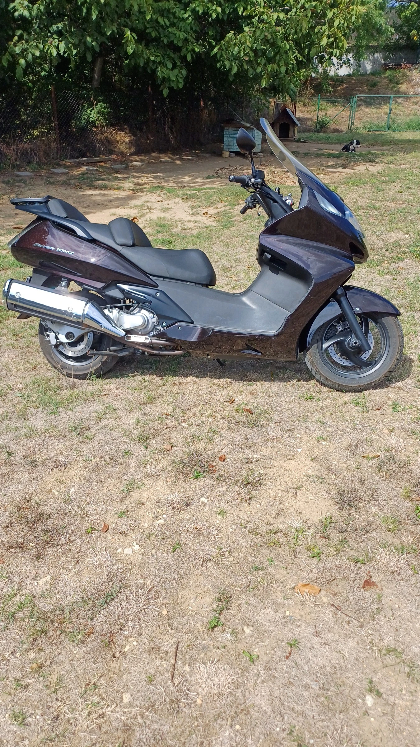 Honda Silver Wing  - изображение 2