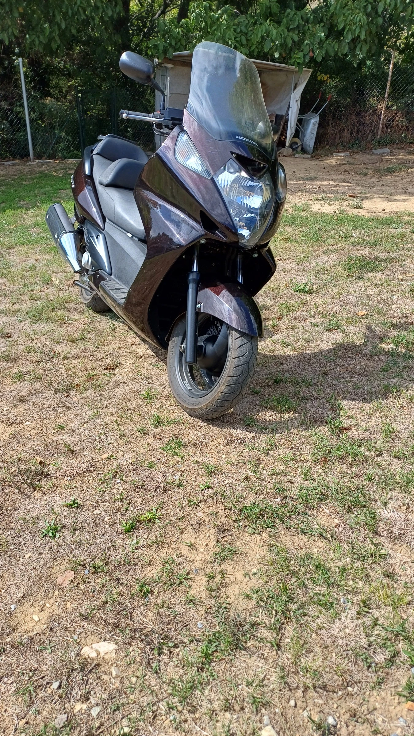 Honda Silver Wing  - изображение 6