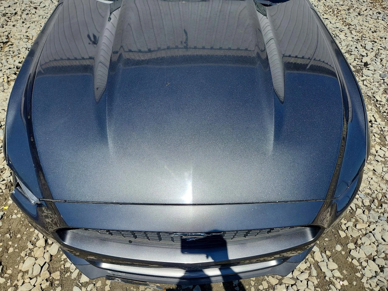 Ford Mustang ECOBOOST FASTBACK, снимка 11 - Автомобили и джипове - 54855358